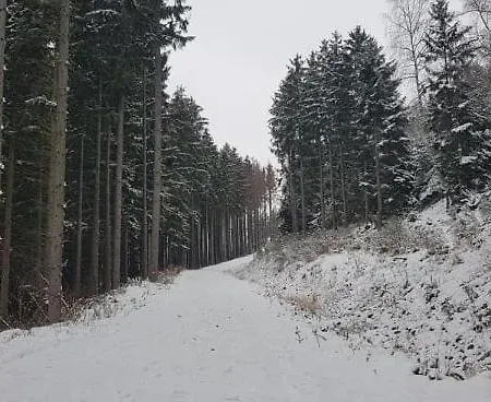 Ramsbecker Hof 3*