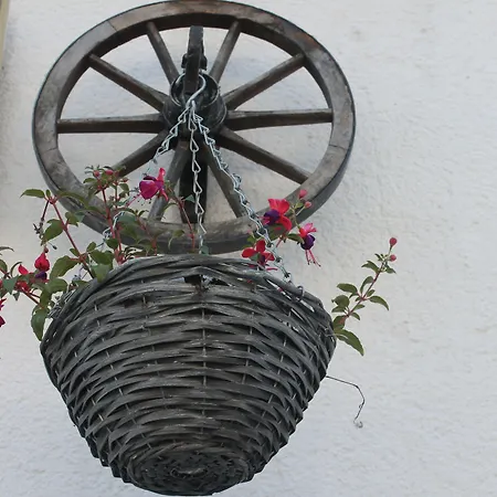 Ramsbecker Hof فندق بيستفيغ